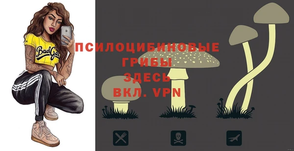 ПСИЛОЦИБИНОВЫЕ ГРИБЫ Волоколамск