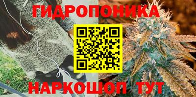 spice Нарткала