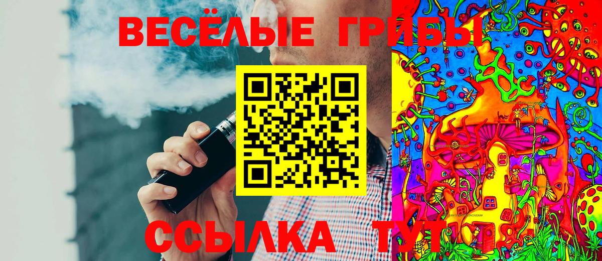 Галлюциногенные грибы Cubensis Славянск-на-Кубани