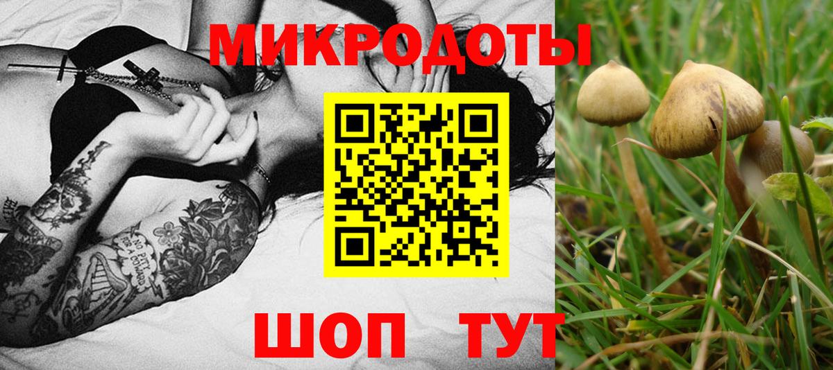 Псилоцибиновые грибы Psilocybine cubensis  Вход с VPN  Славянск-на-Кубани 